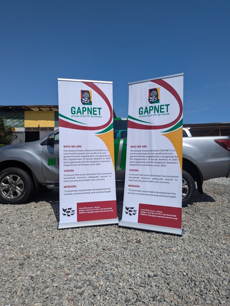 Standard Pull Up Banner